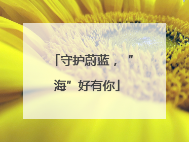 守护蔚蓝，“海”好有你