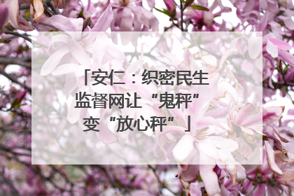安仁：织密民生监督网让“鬼秤”变“放心秤”