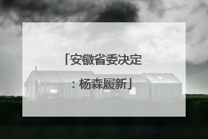 安徽省委决定：杨森履新