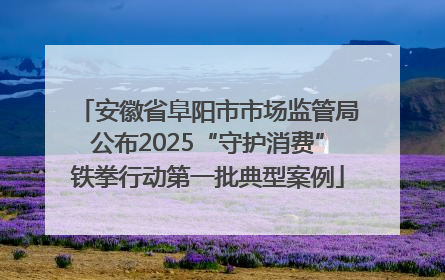 安徽省阜阳市市场监管局公布2025“守护消费”铁拳行动第一批典型案例