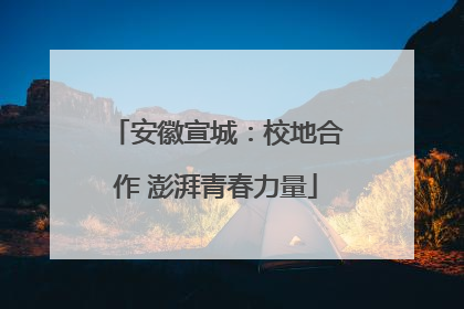 安徽宣城：校地合作 澎湃青春力量