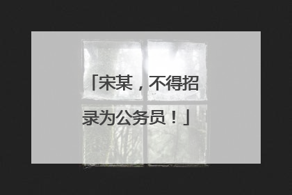 宋某，不得招录为公务员！