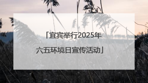 宜宾举行2025年六五环境日宣传活动