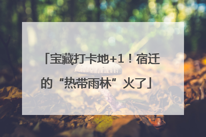 宝藏打卡地+1！宿迁的“热带雨林”火了