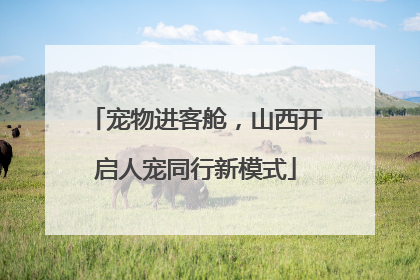 宠物进客舱，山西开启人宠同行新模式