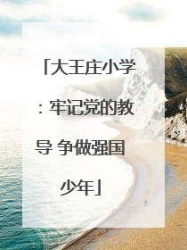 大王庄小学：牢记党的教导 争做强国少年