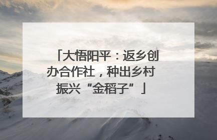 大悟阳平：返乡创办合作社，种出乡村振兴“金稻子”