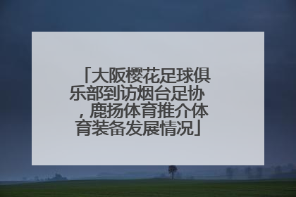 大阪樱花足球俱乐部到访烟台足协，鹿扬体育推介体育装备发展情况