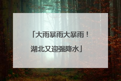 大雨暴雨大暴雨！湖北又迎强降水