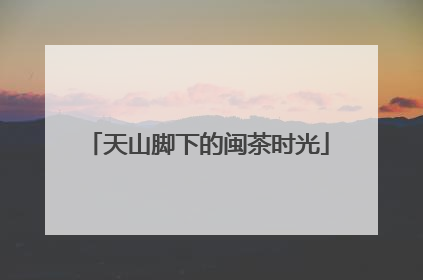 天山脚下的闽茶时光