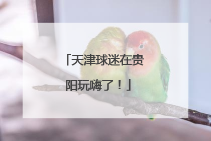 天津球迷在贵阳玩嗨了！