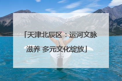 天津北辰区：运河文脉滋养 多元文化绽放