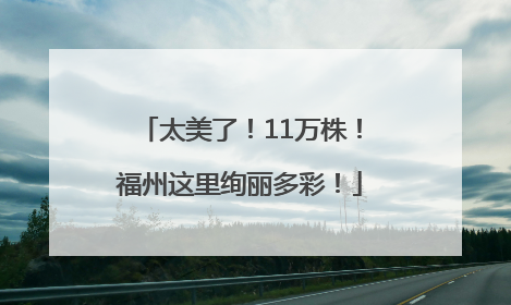 太美了！11万株！福州这里绚丽多彩！
