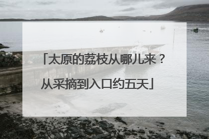 太原的荔枝从哪儿来？从采摘到入口约五天