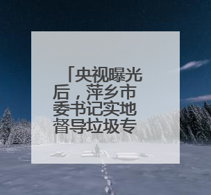 央视曝光后，萍乡市委书记实地督导垃圾专项整治
