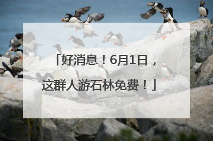 好消息！6月1日，这群人游石林免费！