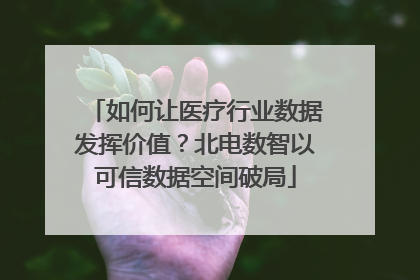 如何让医疗行业数据发挥价值？北电数智以可信数据空间破局