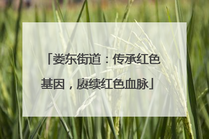娄东街道：传承红色基因，赓续红色血脉