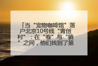 当“宠物咖啡馆”落户北京10号线“青创村”：在“卷”与“躺”之间，他们找到了第三种生活公式