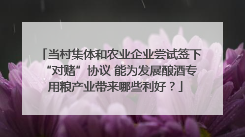 当村集体和农业企业尝试签下“对赌”协议 能为发展酿酒专用粮产业带来哪些利好？