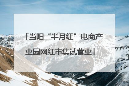 当阳“半月红”电商产业园网红市集试营业