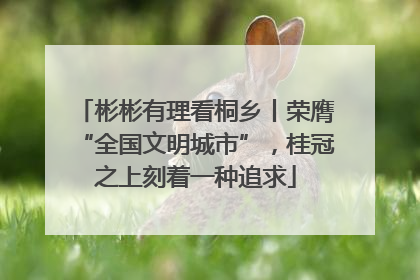 彬彬有理看桐乡丨荣膺“全国文明城市”，桂冠之上刻着一种追求