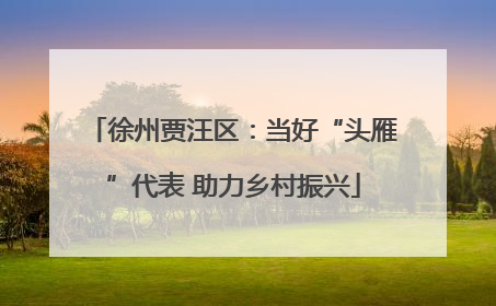 徐州贾汪区：当好“头雁”代表 助力乡村振兴
