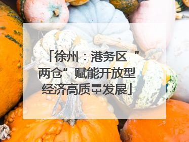 徐州：港务区“两仓”赋能开放型经济高质量发展