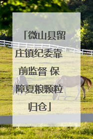 微山县留庄镇纪委靠前监督 保障夏粮颗粒归仓