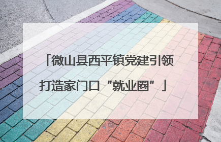 微山县西平镇党建引领打造家门口“就业圈”