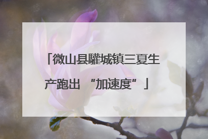 微山县驩城镇三夏生产跑出 “加速度”