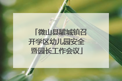 微山县驩城镇召开学区幼儿园安全暨园长工作会议