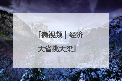 微视频｜经济大省挑大梁