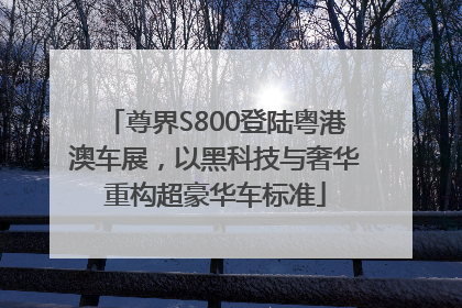 尊界S800登陆粤港澳车展，以黑科技与奢华重构超豪华车标准