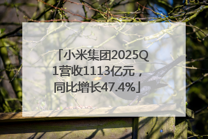小米集团2025Q1营收1113亿元，同比增长47.4%