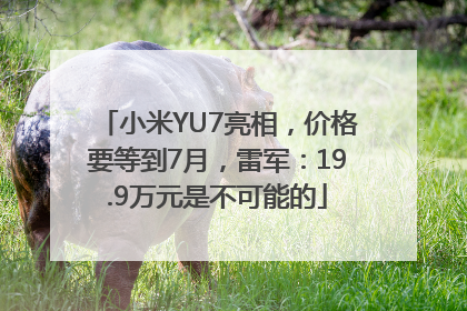 小米YU7亮相，价格要等到7月，雷军：19.9万元是不可能的