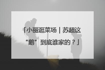 小丽逛菜场｜苏超这“鹅”到底谁家的？