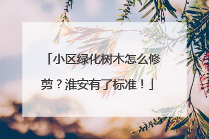小区绿化树木怎么修剪？淮安有了标准！