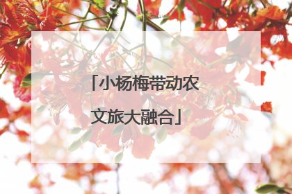 小杨梅带动农文旅大融合