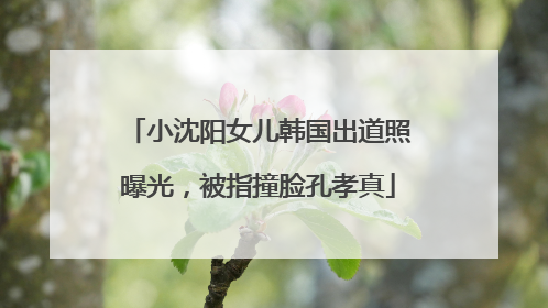 小沈阳女儿韩国出道照曝光，被指撞脸孔孝真