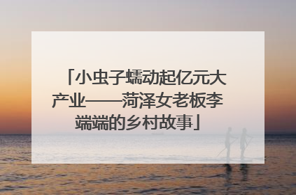小虫子蠕动起亿元大产业——菏泽女老板李端端的乡村故事