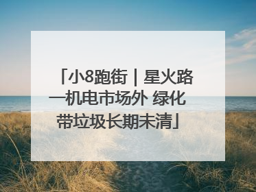 小8跑街｜星火路一机电市场外 绿化带垃圾长期未清