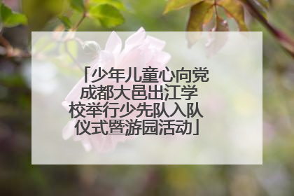 少年儿童心向党 成都大邑出江学校举行少先队入队仪式暨游园活动
