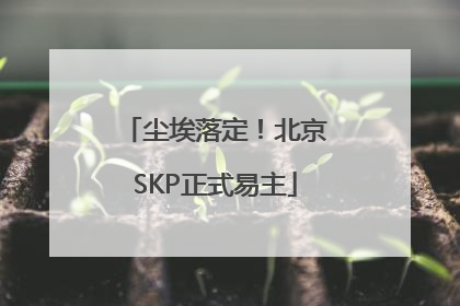 尘埃落定！北京SKP正式易主