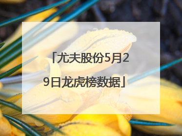 尤夫股份5月29日龙虎榜数据