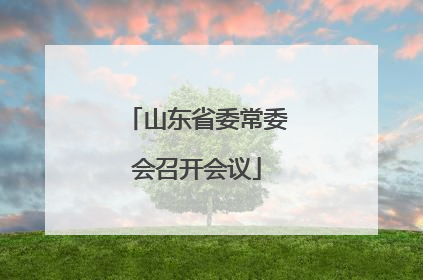 山东省委常委会召开会议