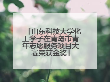 山东科技大学化工学子在青岛市青年志愿服务项目大赛荣获金奖