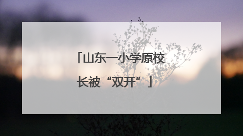 山东一小学原校长被“双开”