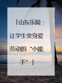 山东乐陵：让学生变身爱劳动的“小能手”