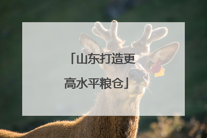 山东打造更高水平粮仓